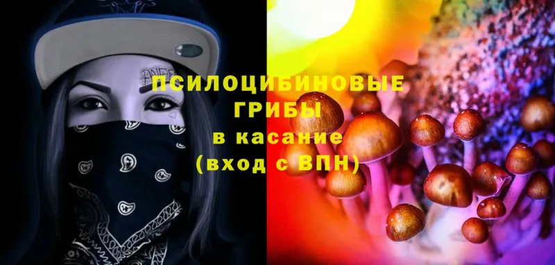 цена   shop клад  Псилоцибиновые грибы Psilocybe  Железноводск 